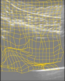 Displacement grid produced by Lucas-Kanade, folded on 10.3% of pixels in this frame