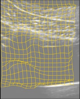 Displacement grid produced by NCA-Flow, folded on 7.5% of pixels in this frame