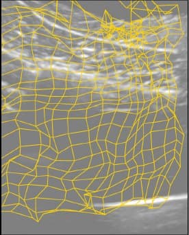 Displacement grid produced by RAFT-S, folded on 22.4% of pixels in this frame