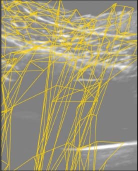 Displacement grid produced by StrainNet-f, folded on 47.8% of pixels in this frame